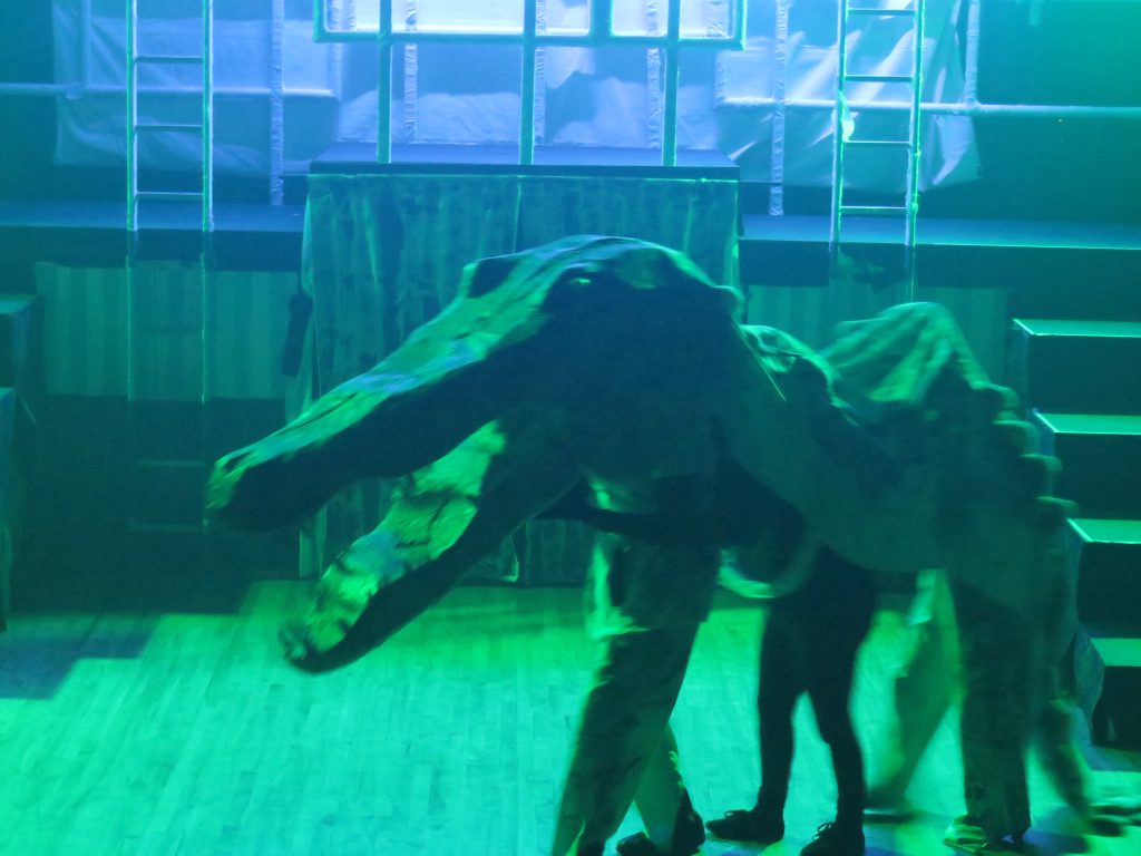 The crocodile